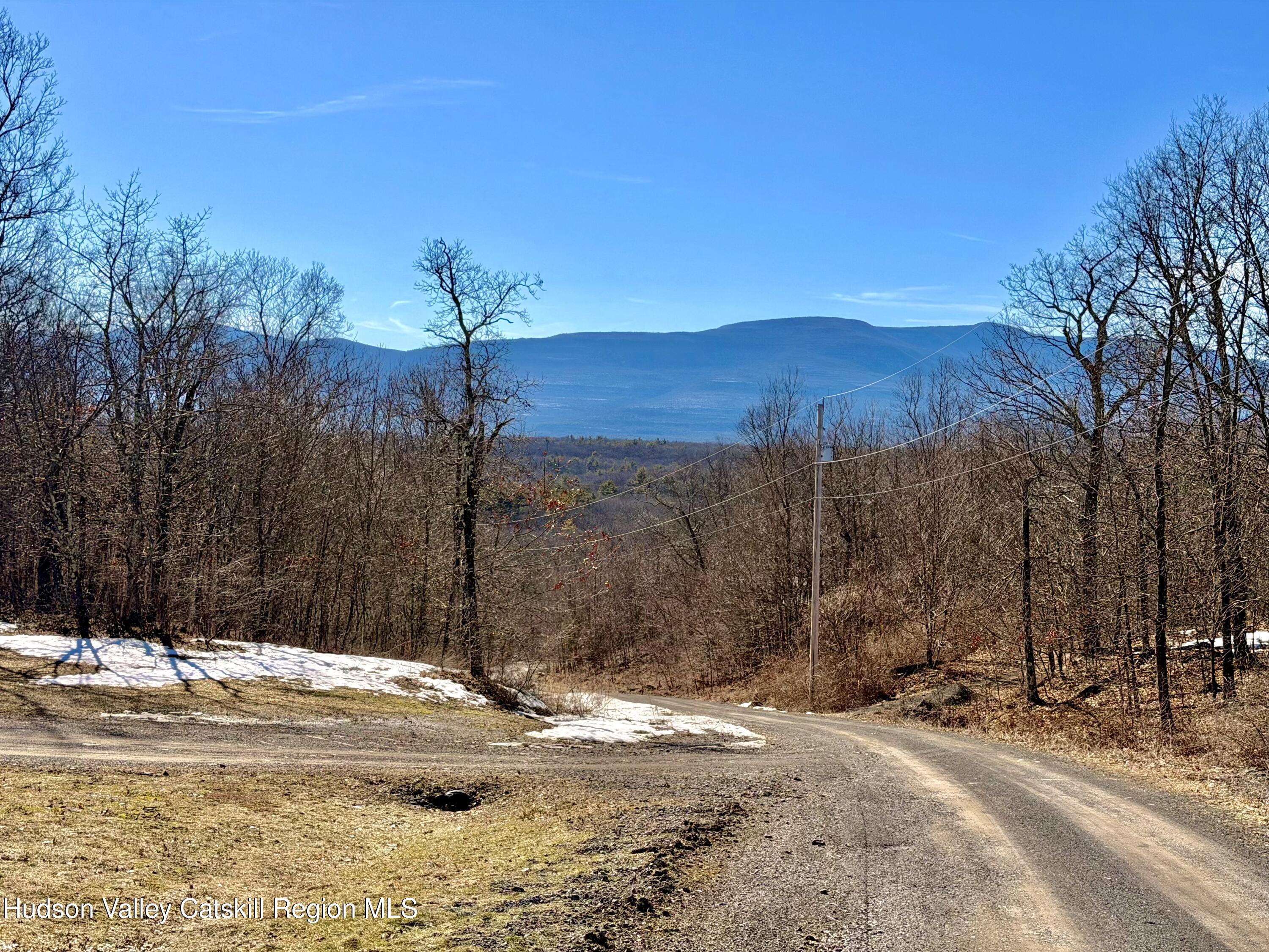 380 Easy Street Catskill, NY 12414 - Photo 6 of 57 a view of a backyard of a house