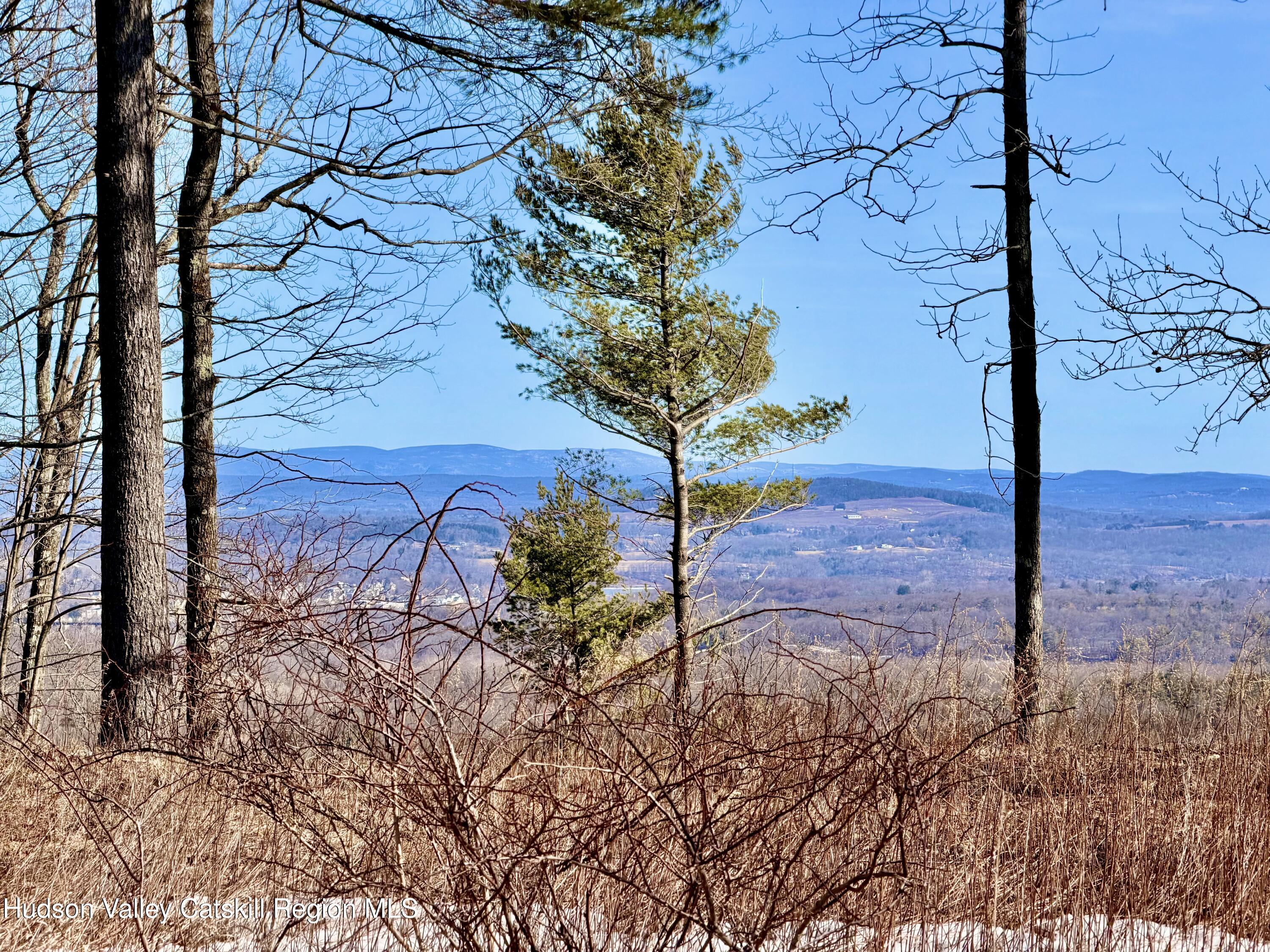 380 Easy Street Catskill, NY 12414 - Photo 7 of 57 a view of a yard