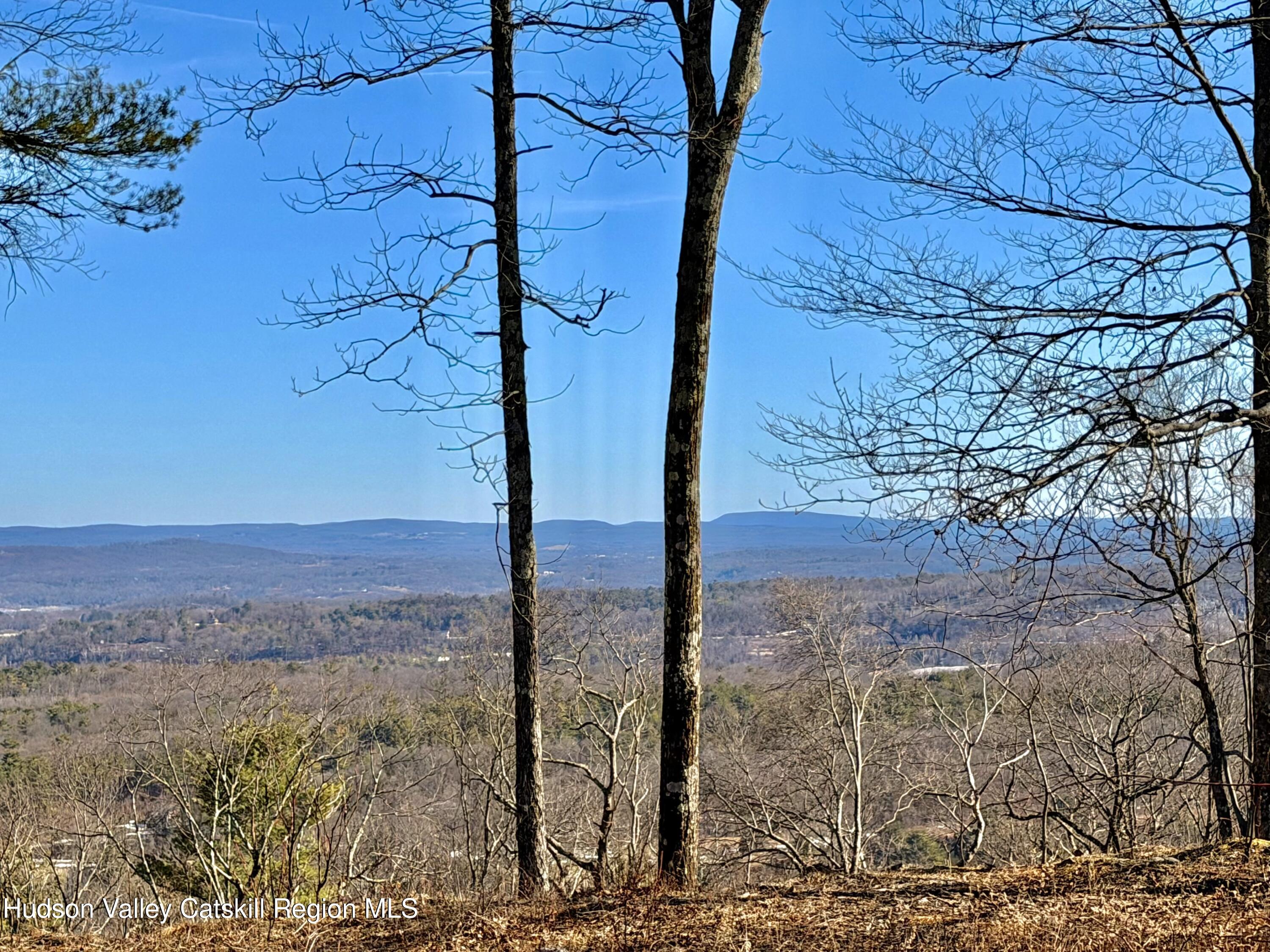 380 Easy Street Catskill, NY 12414 - Photo 8 of 57 a view of a yard with wooden fence