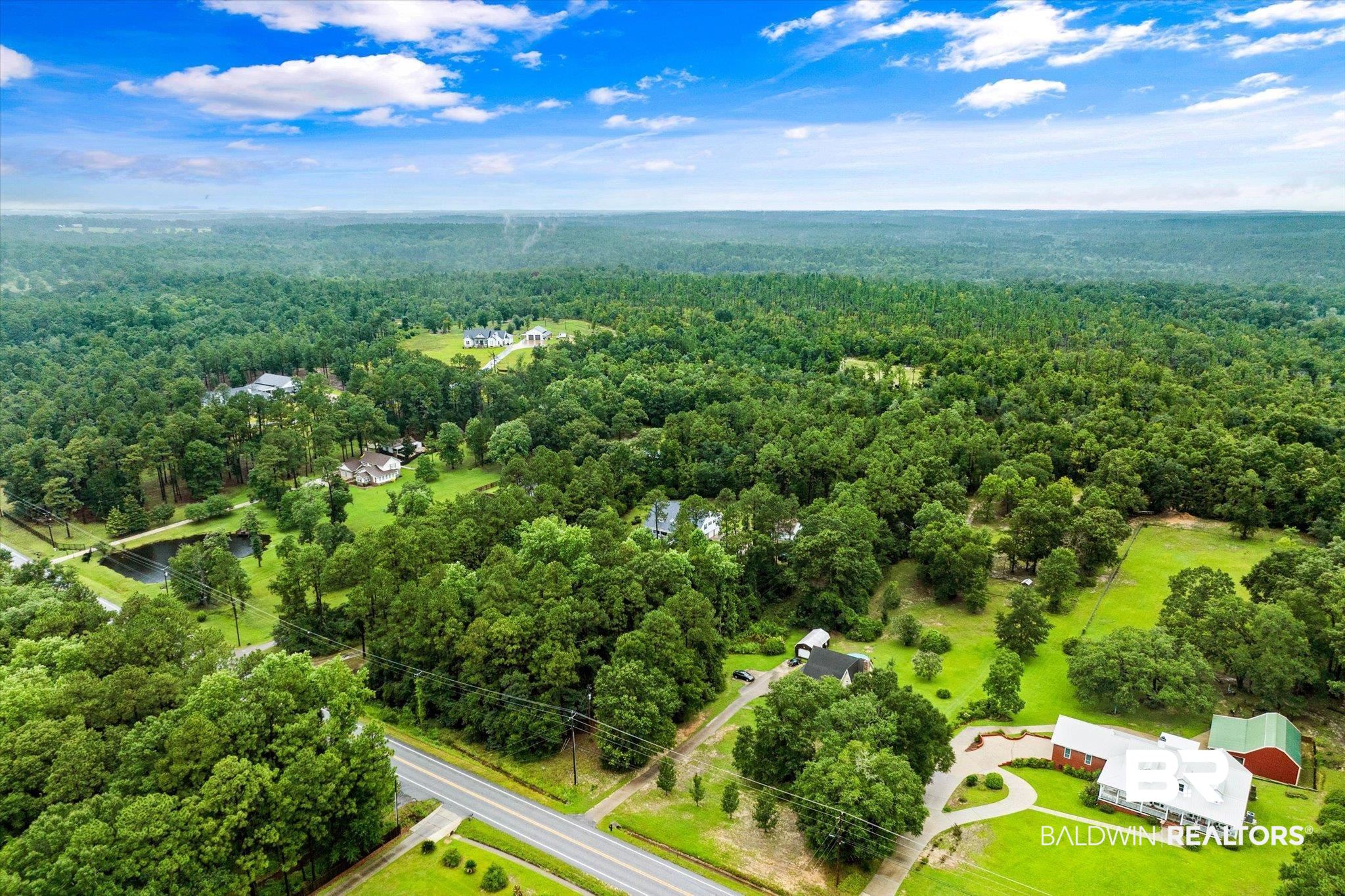 2300 Radcliff Road Saraland, AL 36571 - Photo 50 of 56 Aerial view of a forest