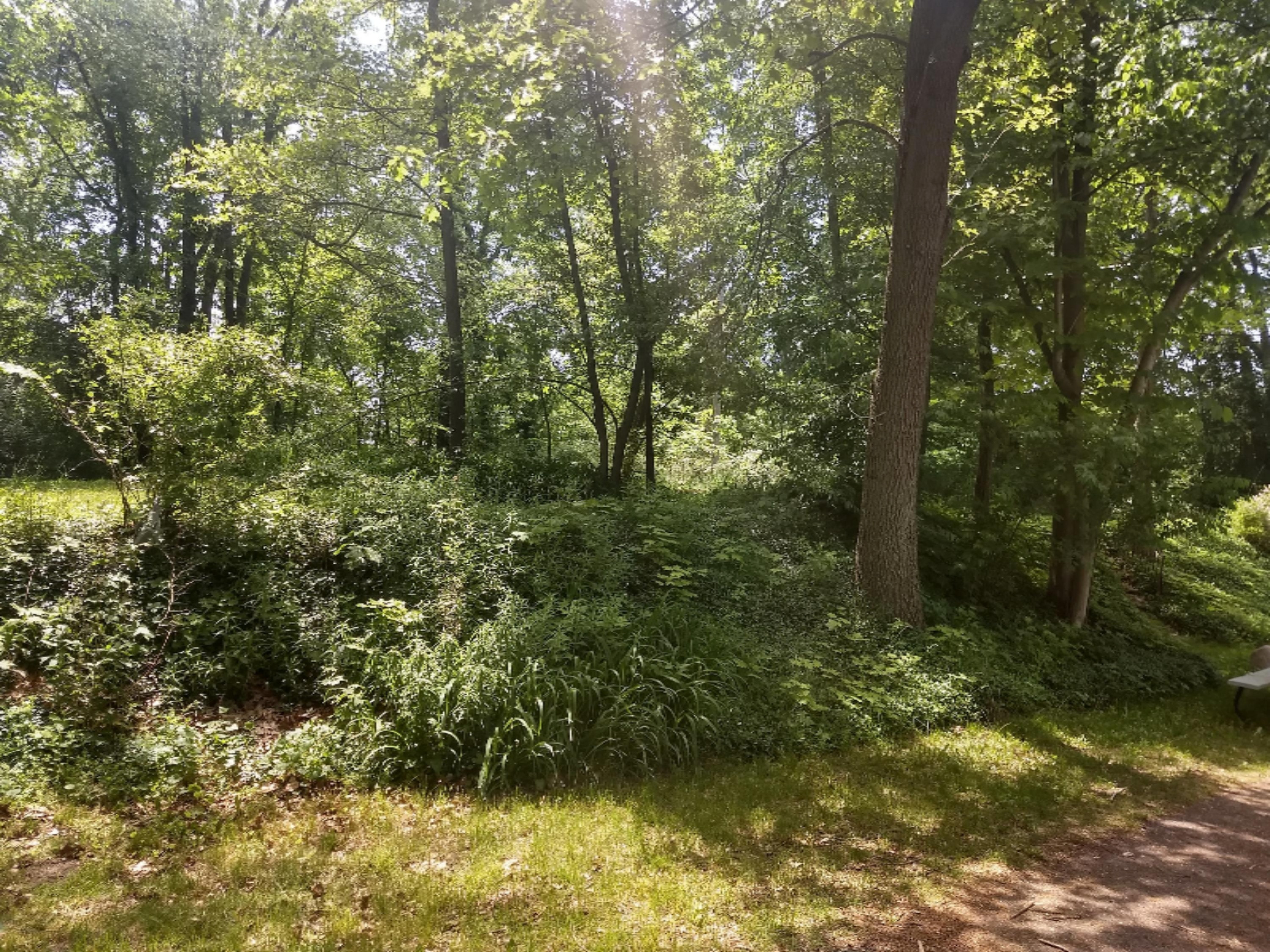 IMG_20180528_124646703_HDR