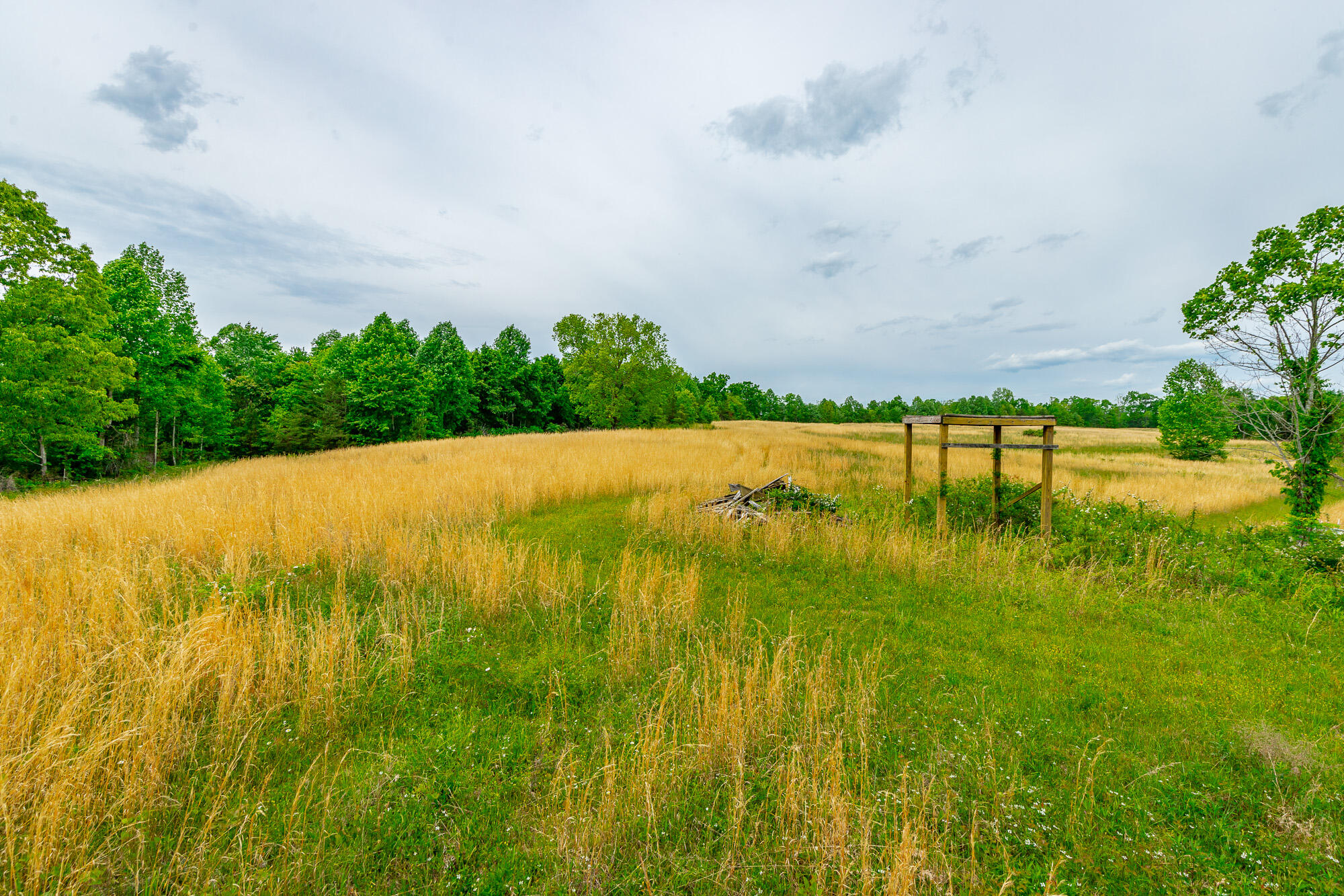 0 Ray Gadd Road Graysville, TN 37338 - Photo 87 of 109 Ray Gadd Road Lot HD-32