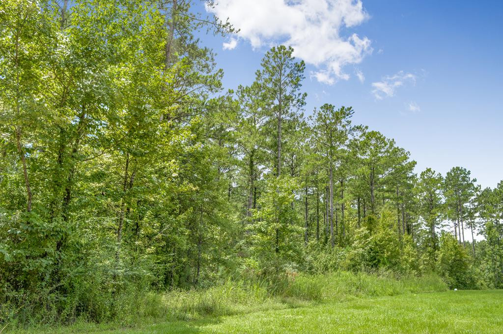... Delaware Lane Southwest Brookhaven, MS 39601 - Photo 1 of 29 Main View