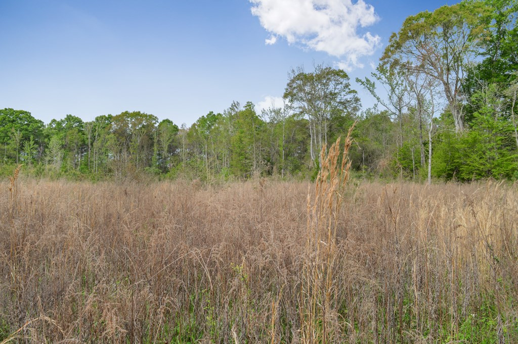 ... Delaware Lane Southwest Brookhaven, MS 39601 - Photo 11 of 29 Photo 11
