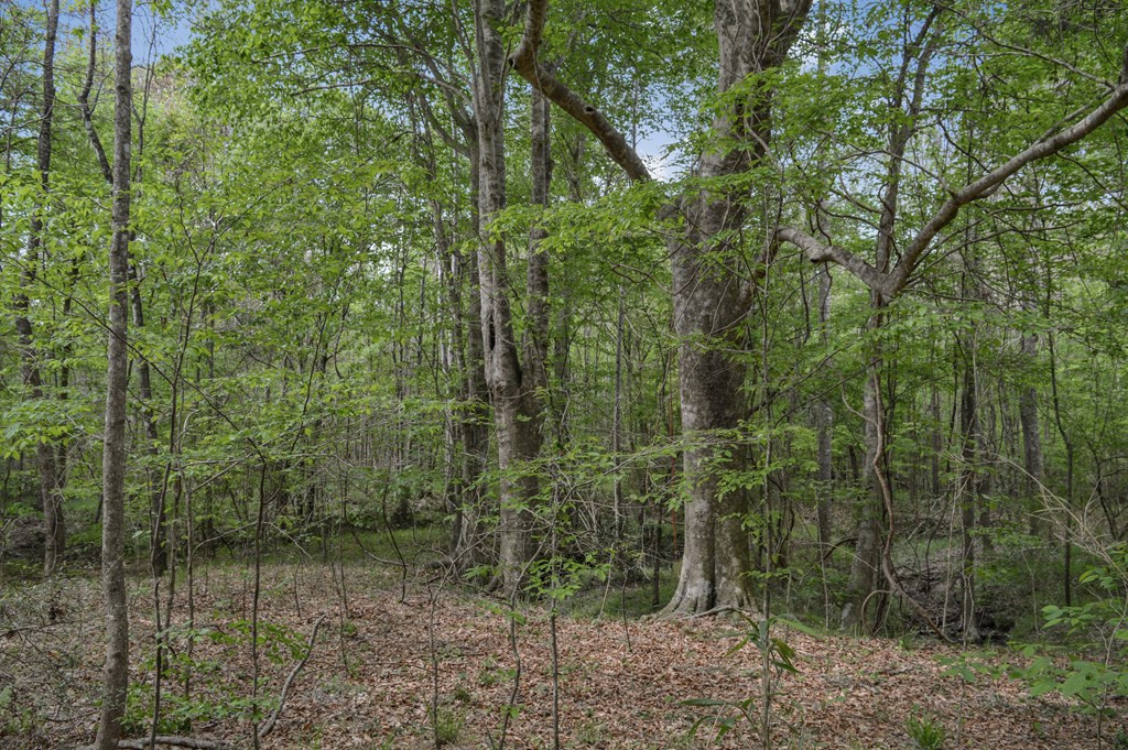 ... Delaware Lane Southwest Brookhaven, MS 39601 - Photo 13 of 29 Photo 13