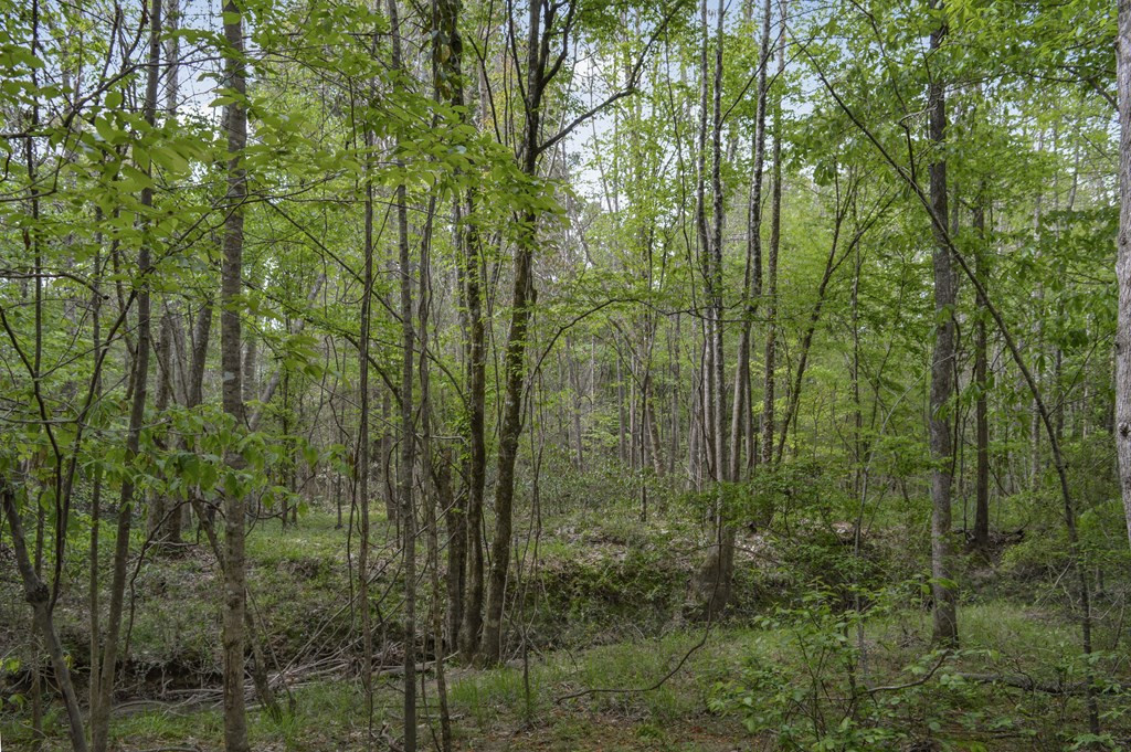 ... Delaware Lane Southwest Brookhaven, MS 39601 - Photo 14 of 29 Photo 14