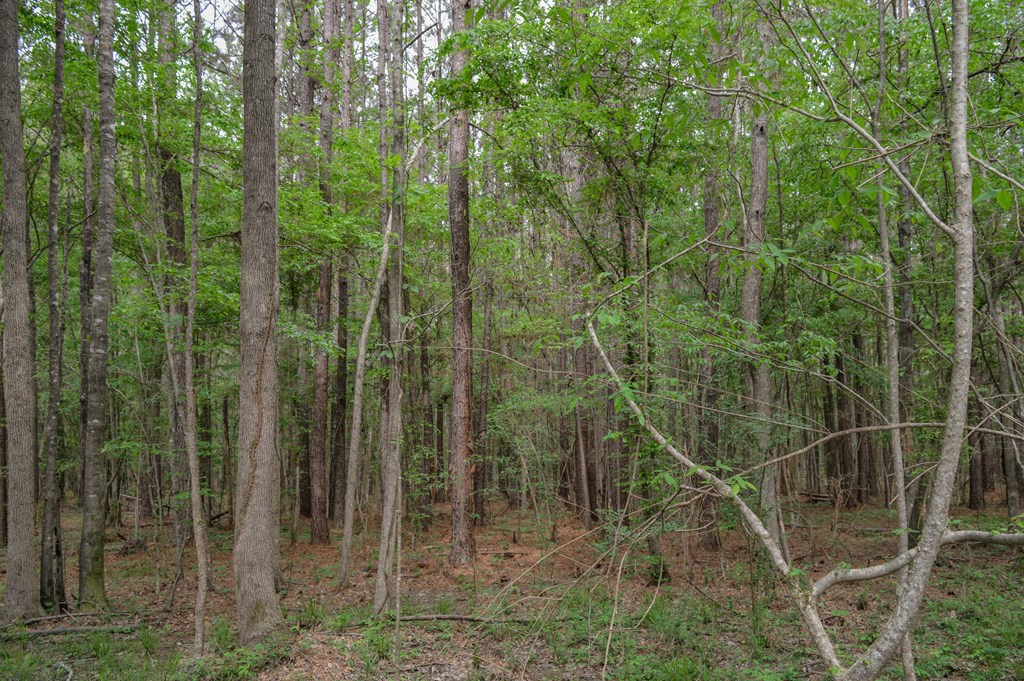 ... Delaware Lane Southwest Brookhaven, MS 39601 - Photo 16 of 29 Photo 16