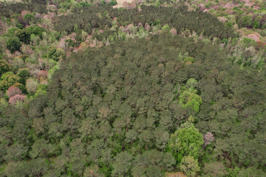 ... Delaware Lane Southwest Brookhaven, MS 39601 - Photo 23 of 29 Photo 23