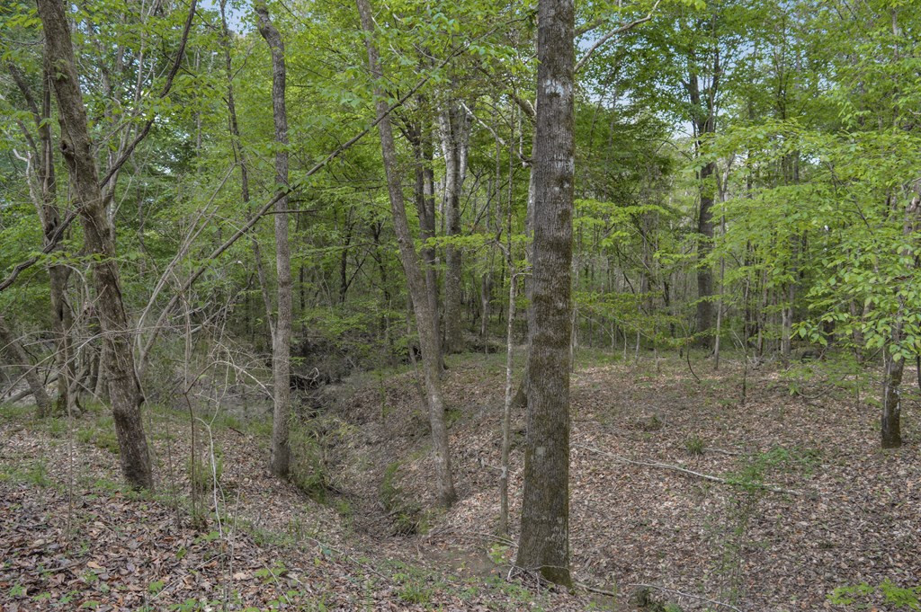 ... Delaware Lane Southwest Brookhaven, MS 39601 - Photo 3 of 29 Photo 3