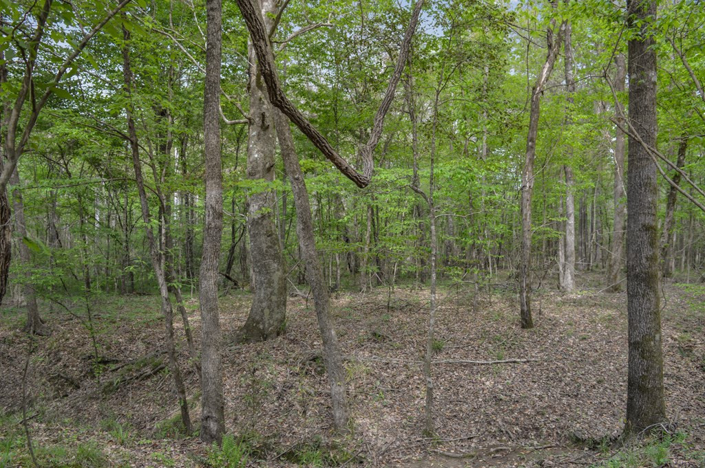 ... Delaware Lane Southwest Brookhaven, MS 39601 - Photo 4 of 29 Photo 4