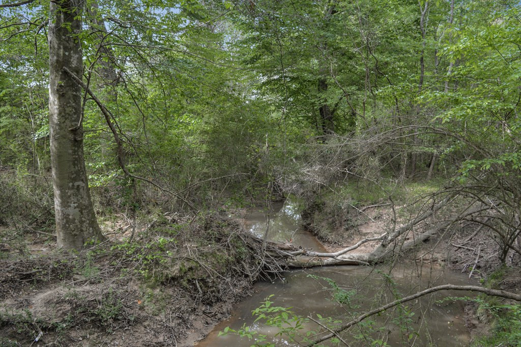 ... Delaware Lane Southwest Brookhaven, MS 39601 - Photo 5 of 29 Photo 5