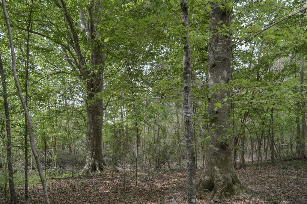 ... Delaware Lane Southwest Brookhaven, MS 39601 - Photo 7 of 29 Photo 7