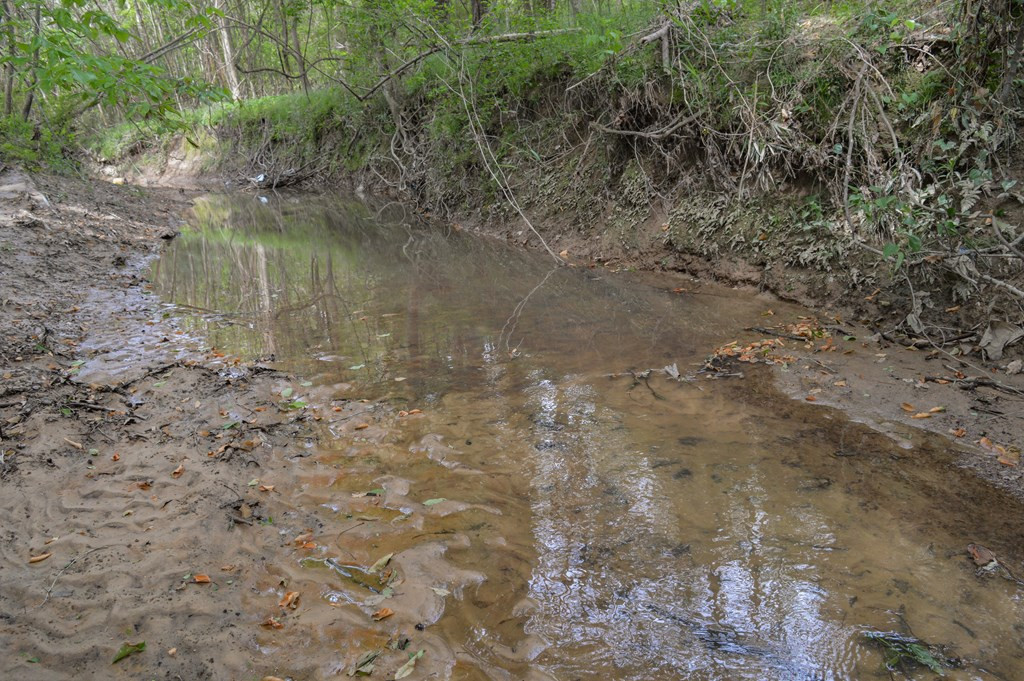 ... Delaware Lane Southwest Brookhaven, MS 39601 - Photo 8 of 29 Photo 8
