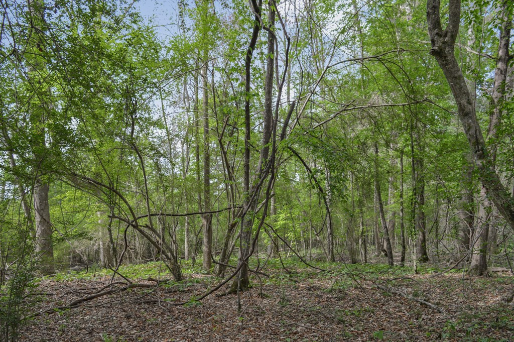 ... Delaware Lane Southwest Brookhaven, MS 39601 - Photo 9 of 29 Photo 9