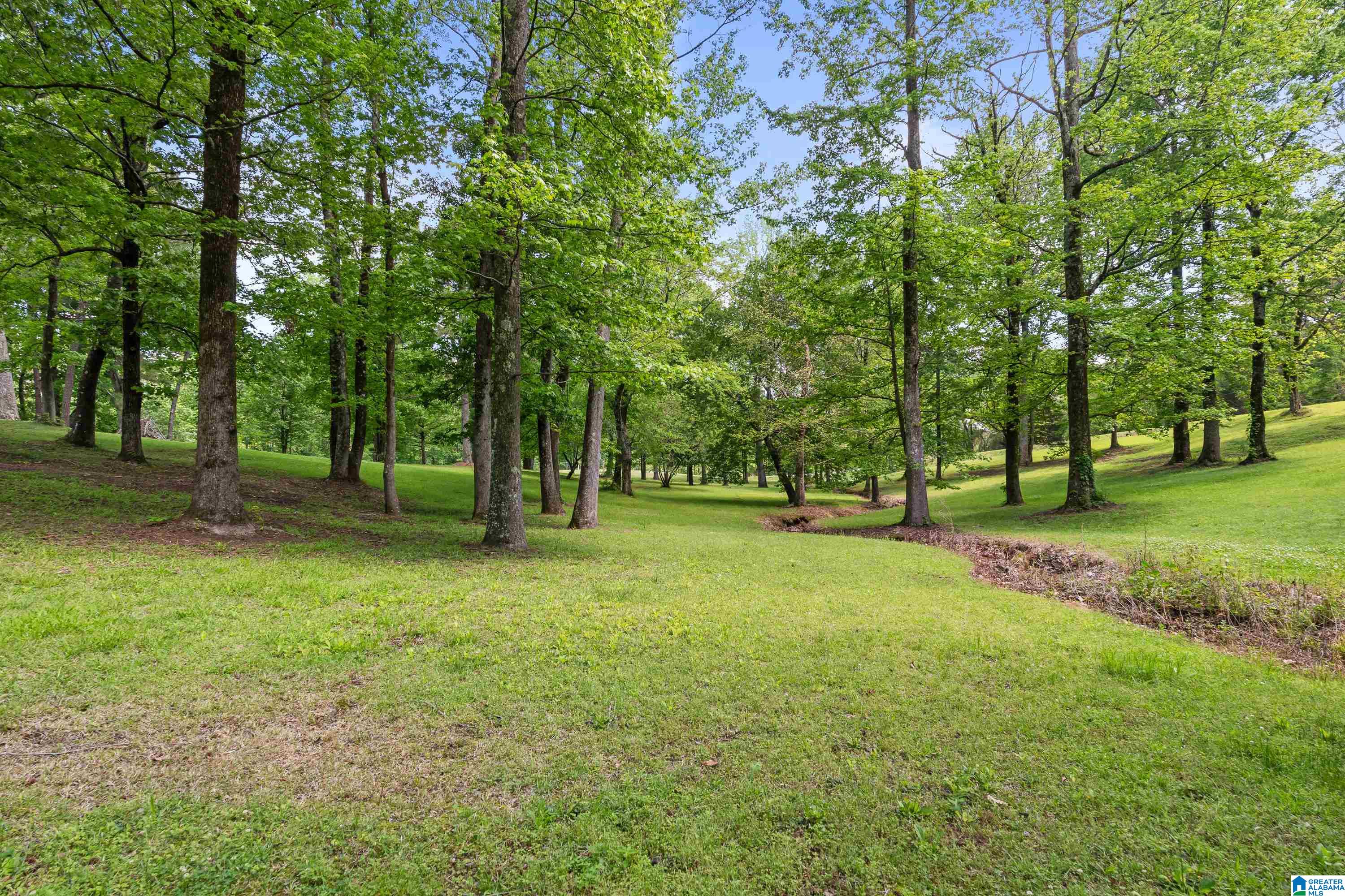 3671 White Road Dora, AL 35062 - Photo 60 of 67