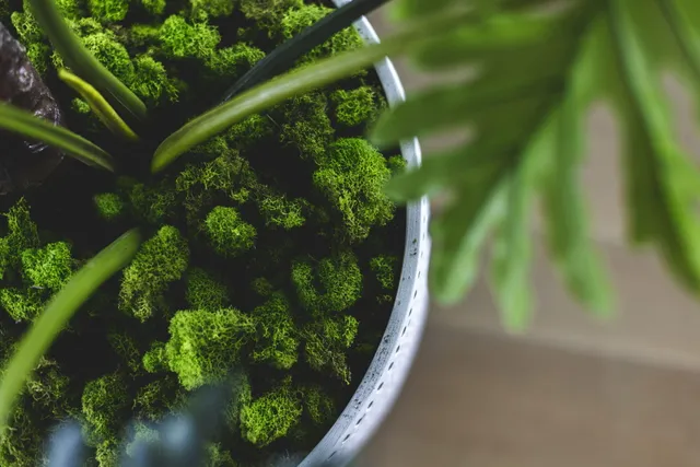 a bedroom with a bed and cabinets