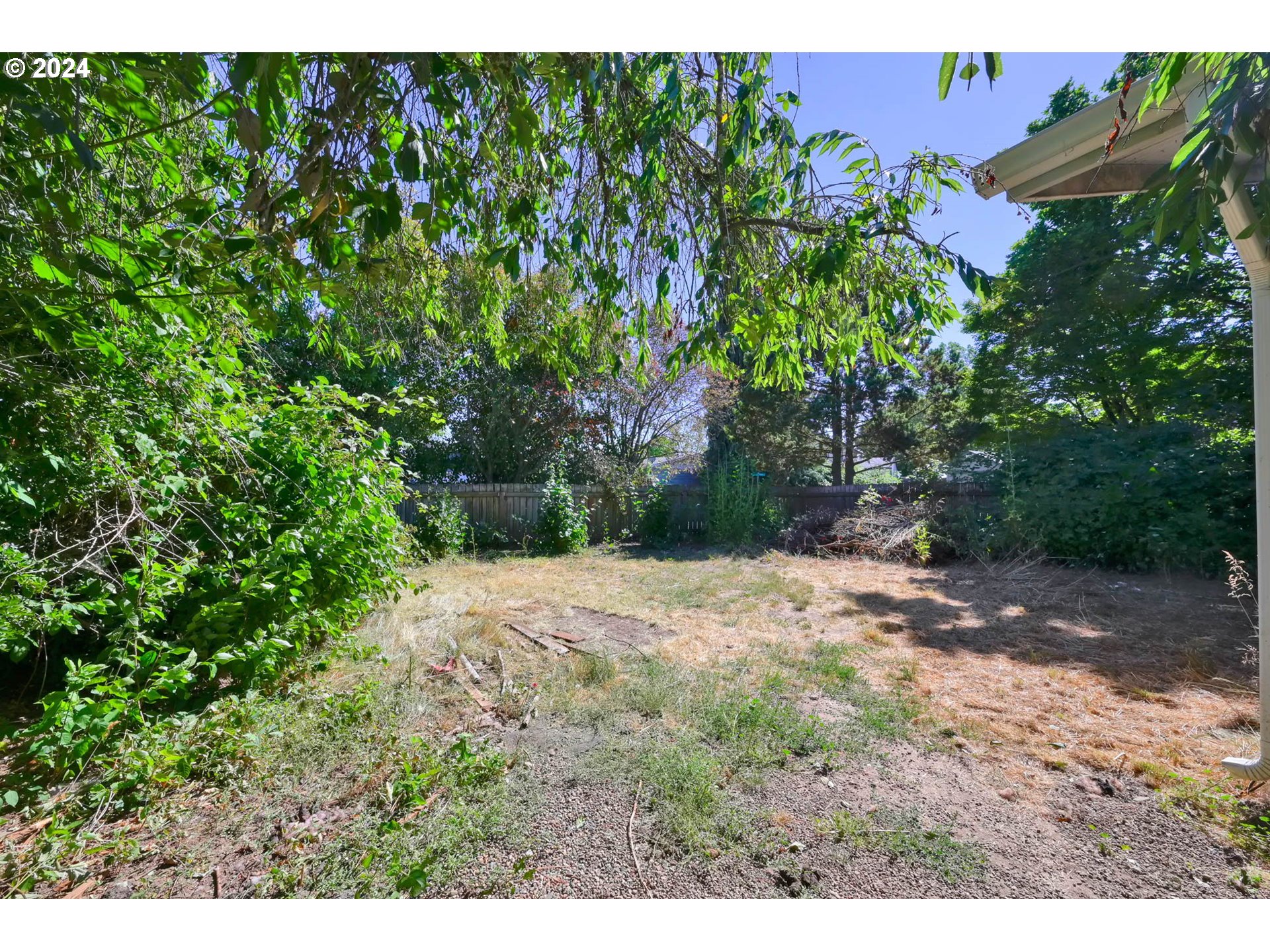 2301 Compton Street Eugene, OR 97404 - Photo 24 of 27 a view of a yard with plants and trees