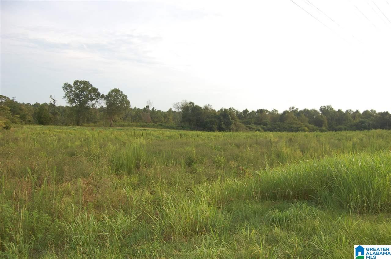 16 County Road, Unit 90 Maplesville, AL 36750 - Photo 4 of 15