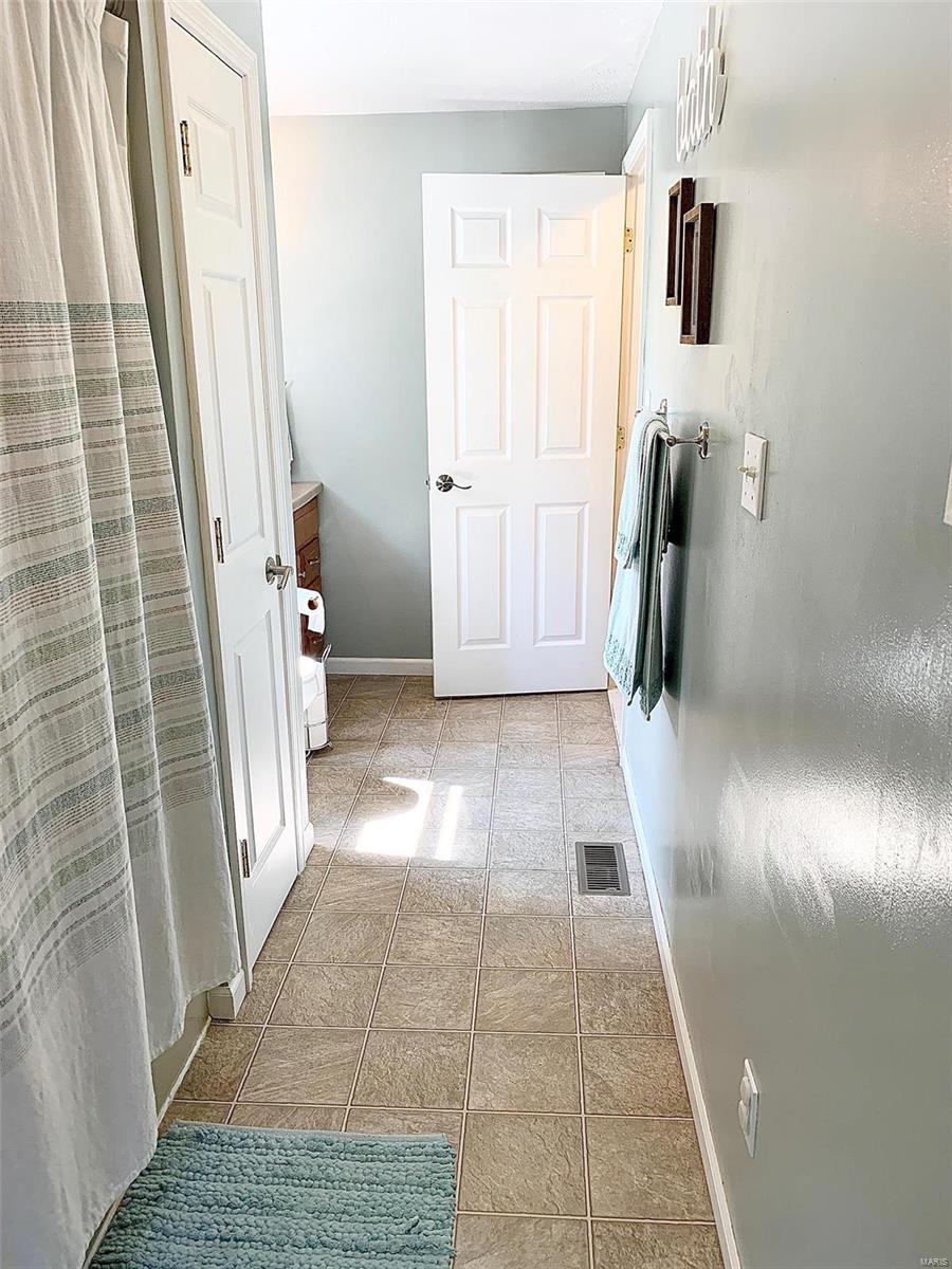 7254 Renken Road Dorsey, IL 62021 - Photo 40 of 61