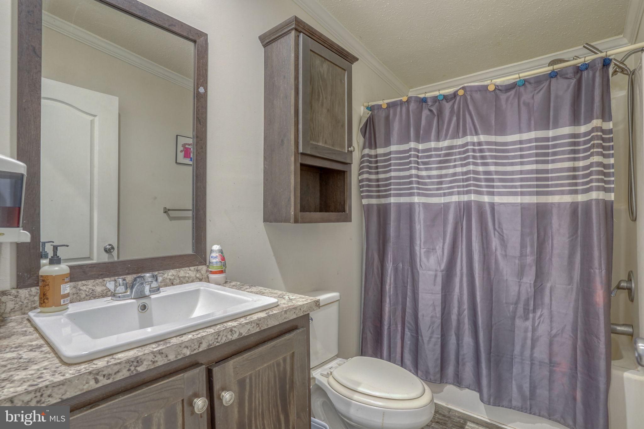 413 4th Street Frederica, DE 19946 - Photo 24 of 31 a bathroom with a sink a toilet and shower