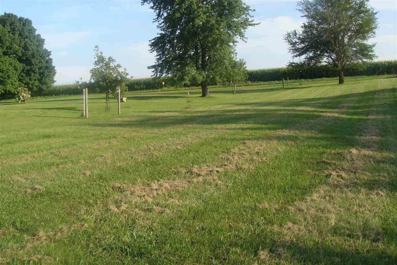 0 East Park Road Farmington, IL 61531 - Photo 3 of 5
