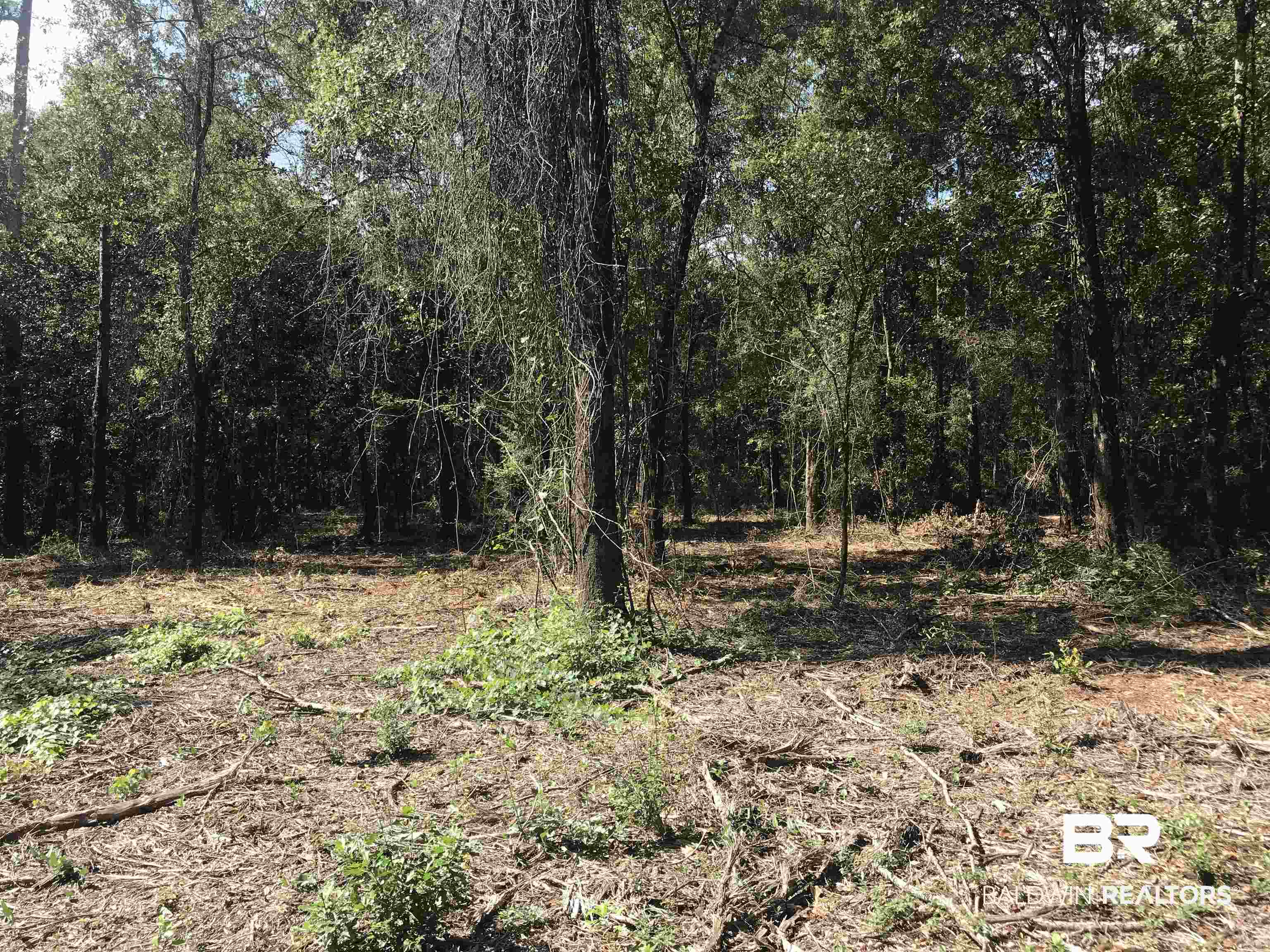 14388 State Highway 104 Silverhill, AL 36576 - Photo 9 of 11 View of nature