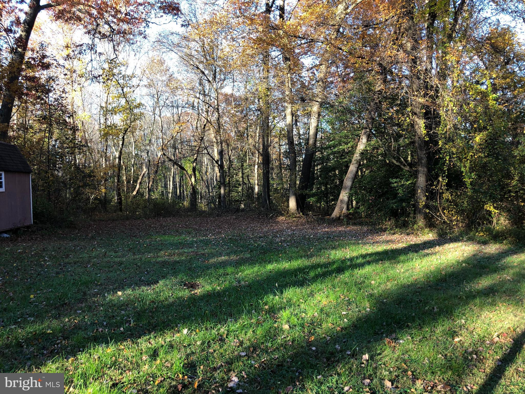 1628 Colony Road Pasadena, MD 21122 - Photo 26 of 29 Yard backs to woods.