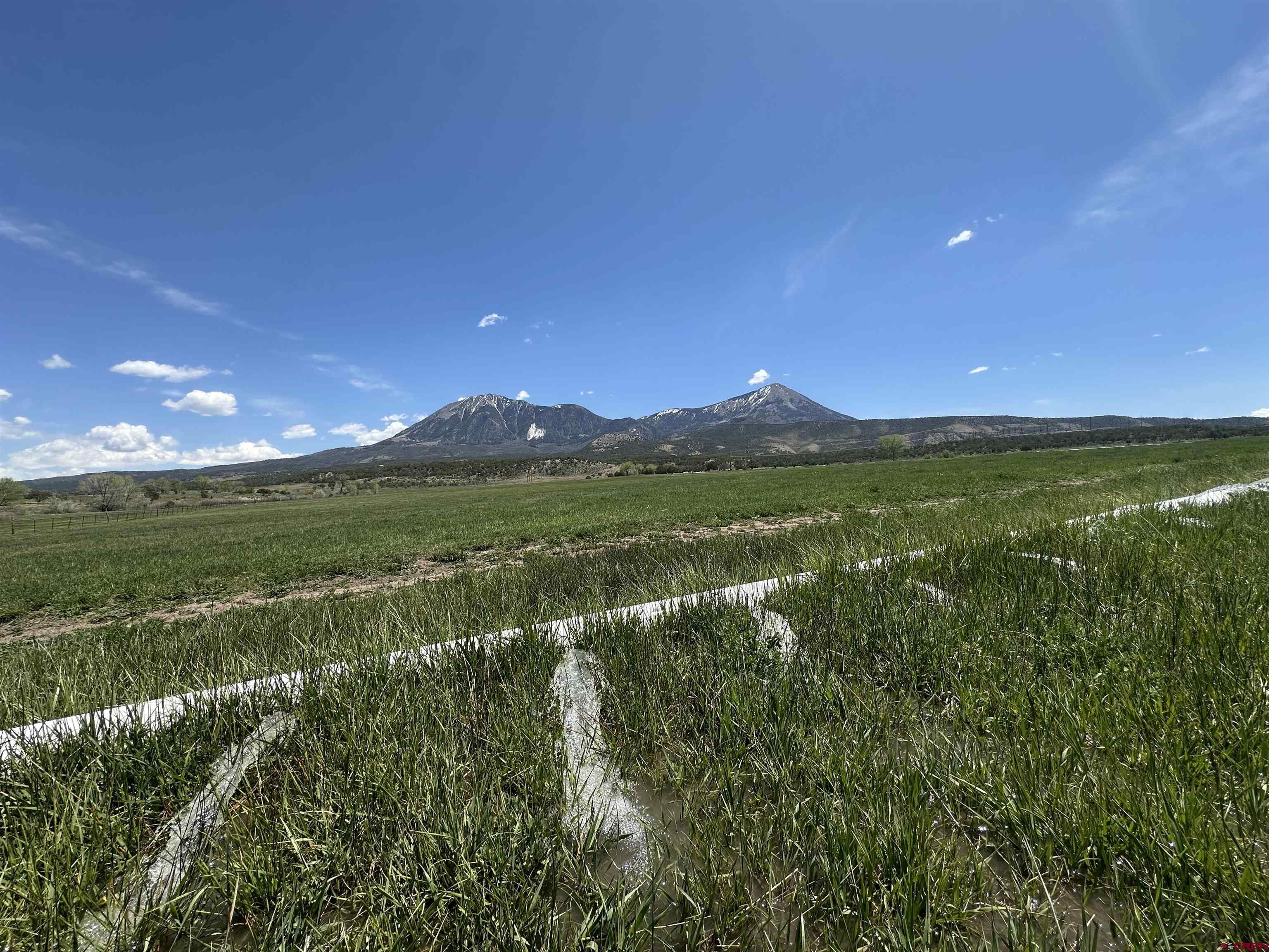 11456 Crawford Road Paonia, CO 81428 - Photo 4 of 19