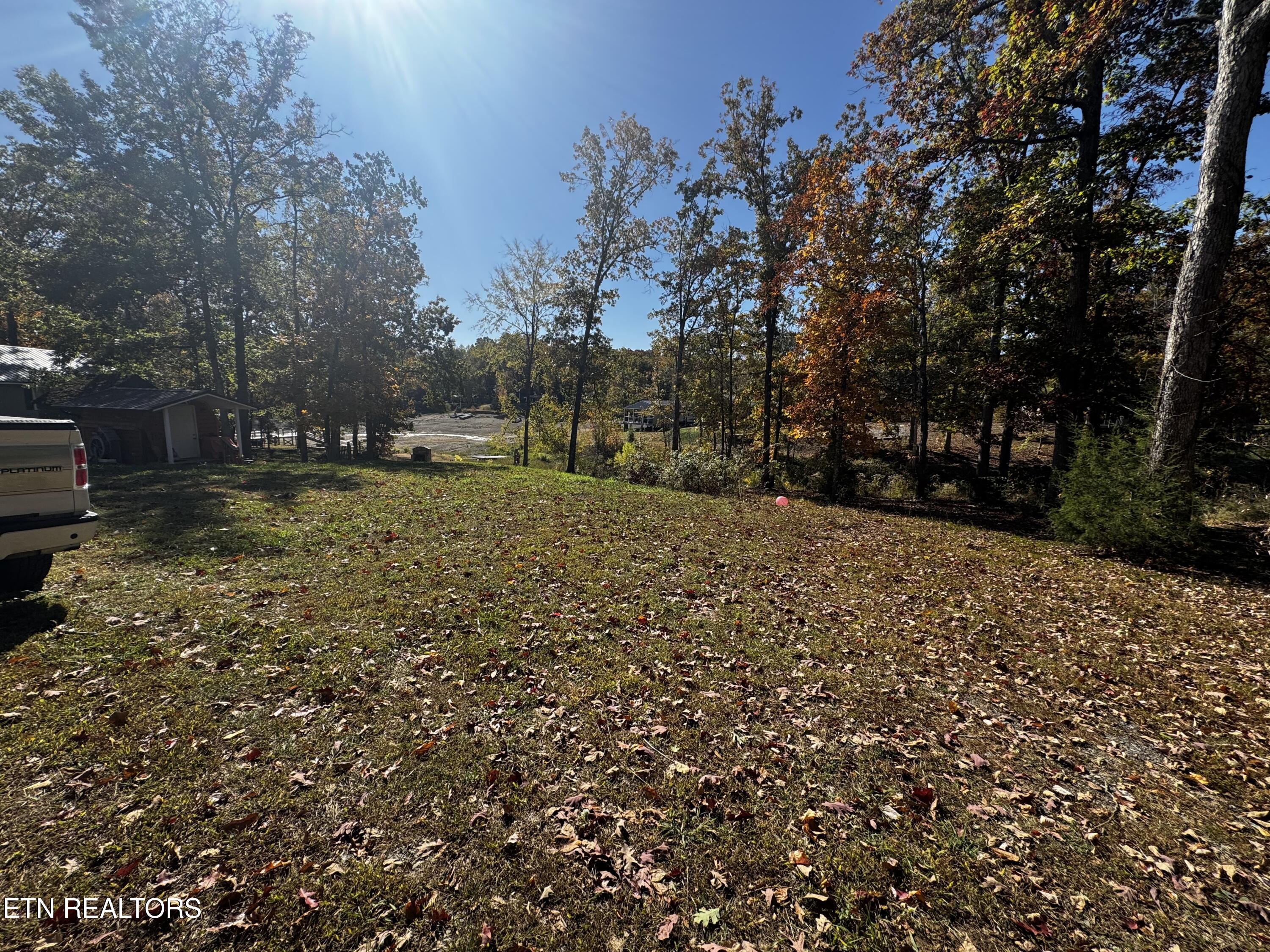 115 Bluegill Way Sevierville, TN 37876 - Photo 13 of 21 Bluegill Way front yard going to lake