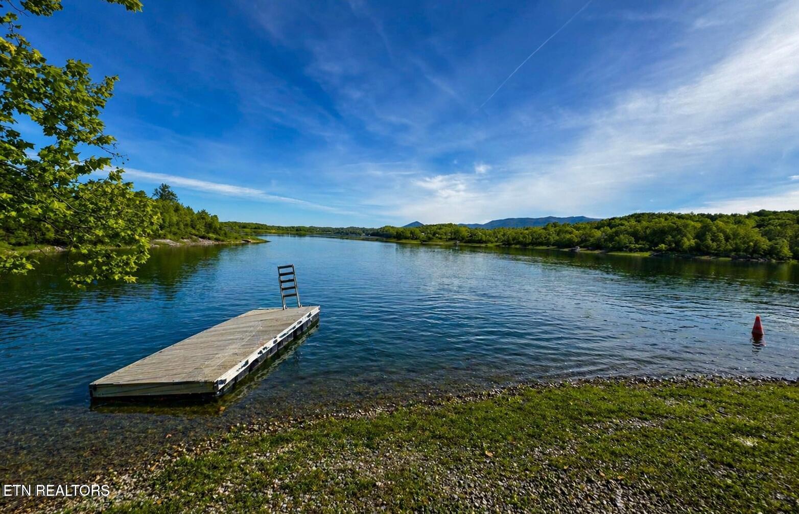 115 Bluegill Way Sevierville, TN 37876 - Photo 4 of 21 AI Community Boat Launch and dock