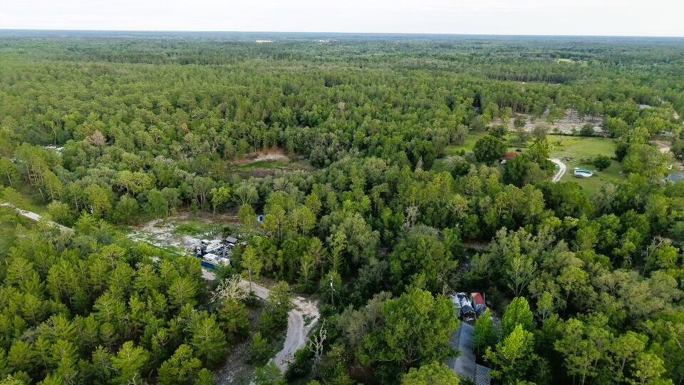 121 Susan Road Hawthorne, FL 32640 - Photo 4 of 20 4