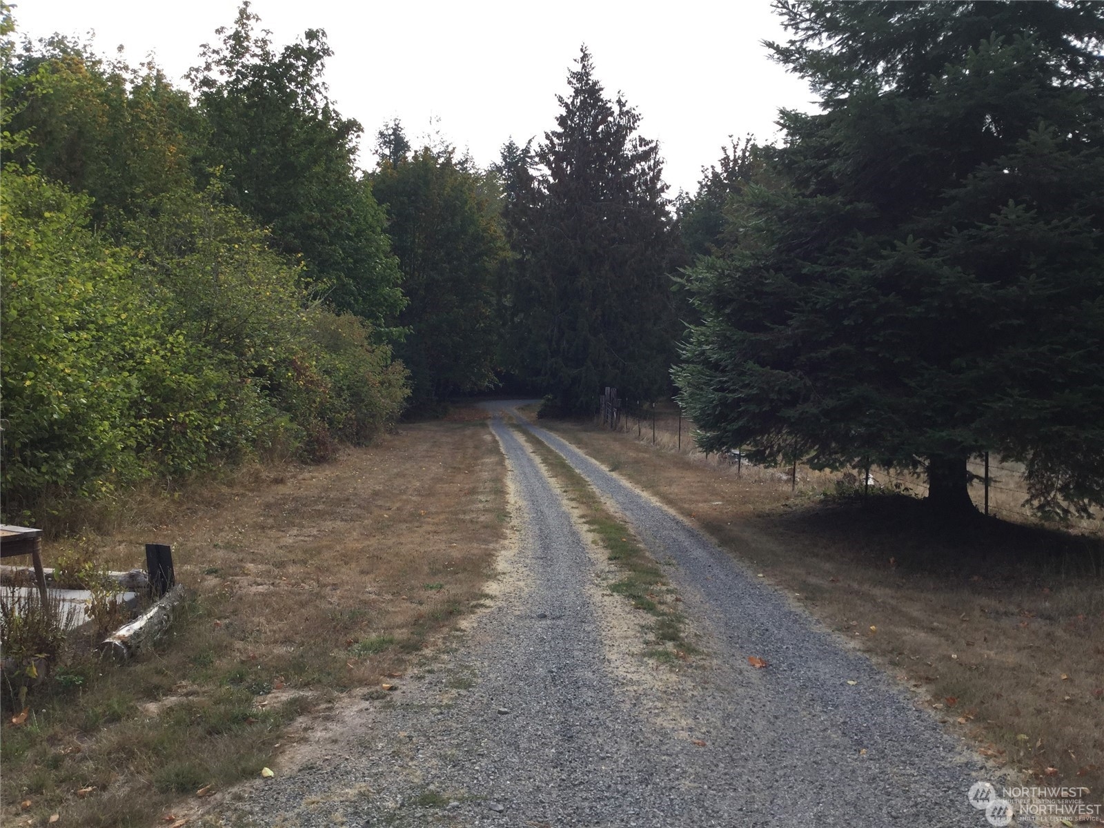 10346 210th Lane Southwest Rochester, WA 98579 - Photo 11 of 11 a view of a forest with trees