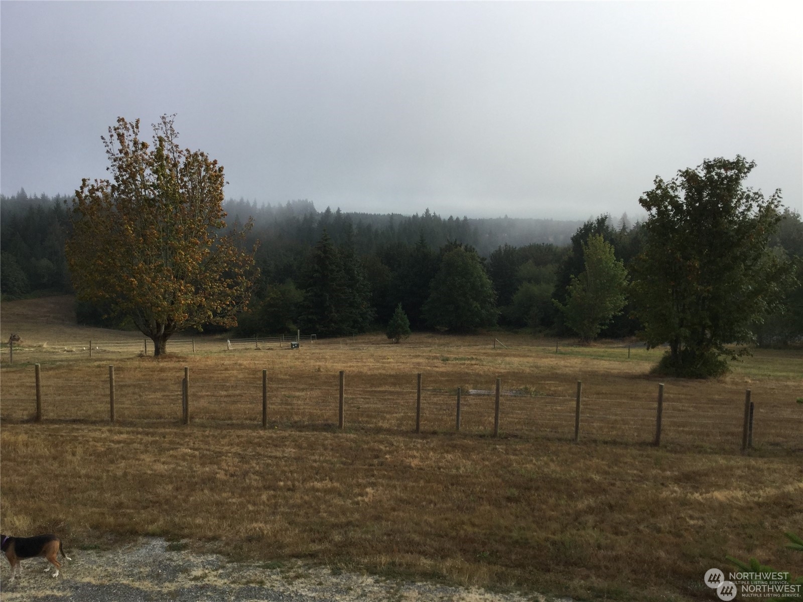 10346 210th Lane Southwest Rochester, WA 98579 - Photo 3 of 11 a view of terrace with yard