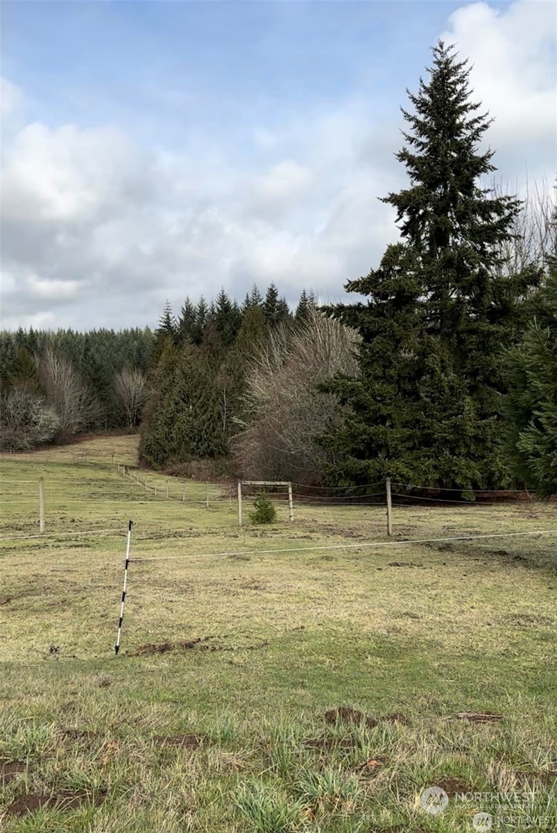 10346 210th Lane Southwest Rochester, WA 98579 - Photo 4 of 11 a view of a ocean view