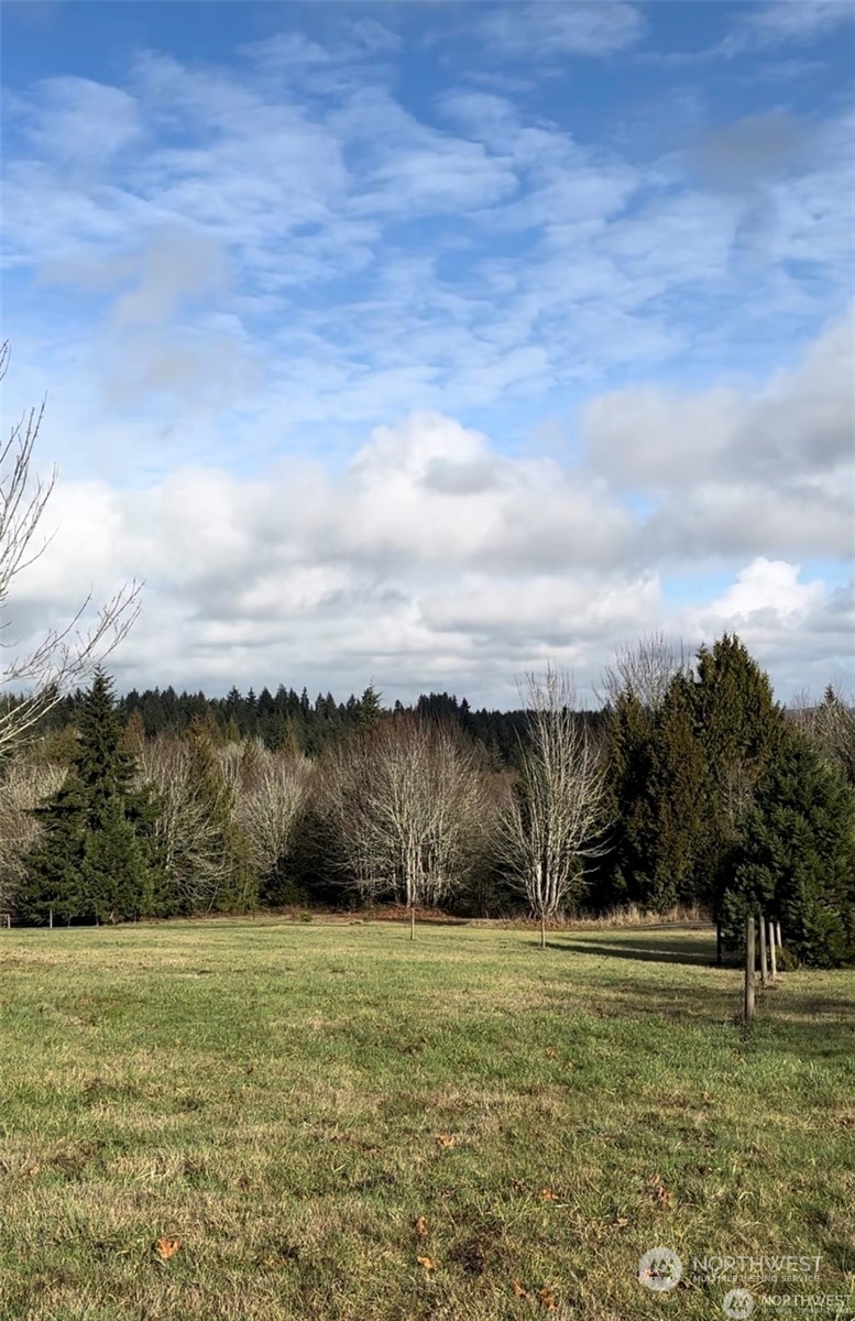 10346 210th Lane Southwest Rochester, WA 98579 - Photo 5 of 11 a view of outdoor space and yard