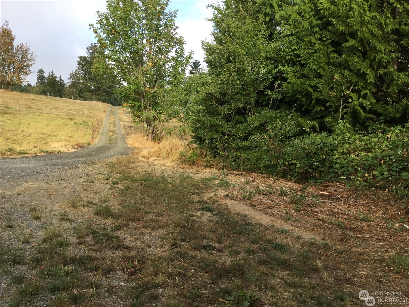 10346 210th Lane Southwest Rochester, WA 98579 - Photo 6 of 11 a view of an ocean view