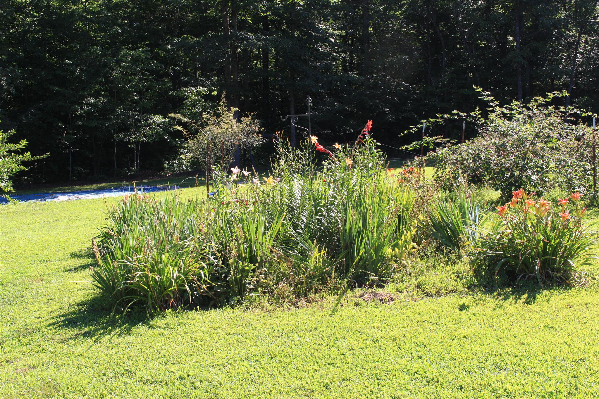 536 Strawberry Ridge Manchester, TN 37355 - Photo 25 of 30 a view of yard with small space