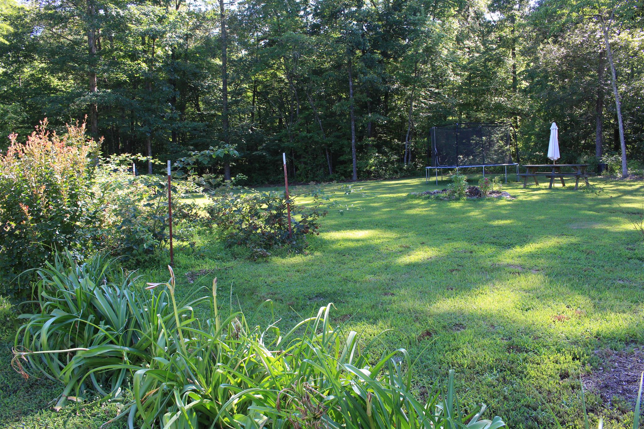 536 Strawberry Ridge Manchester, TN 37355 - Photo 26 of 30 a garden view