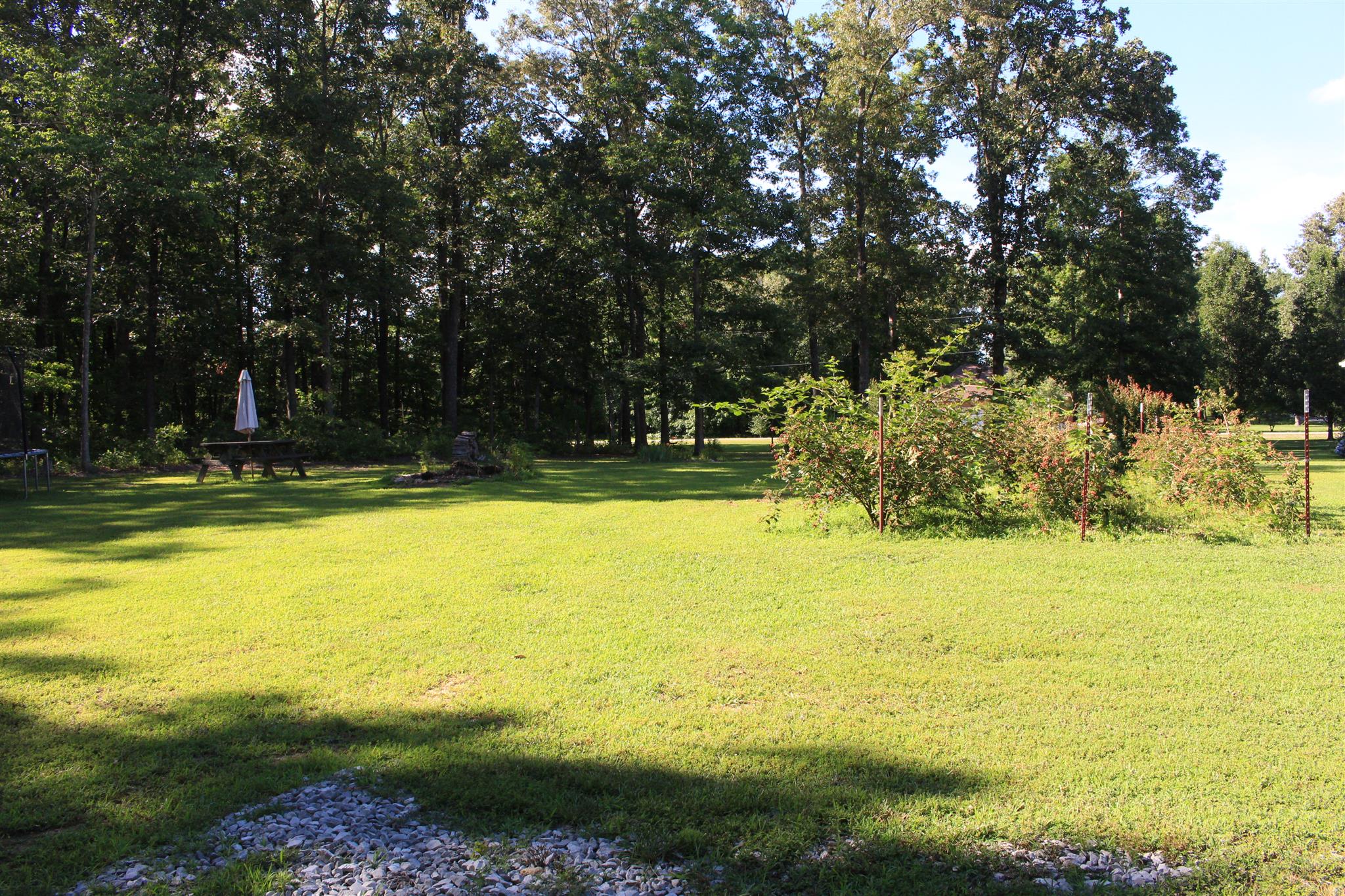 536 Strawberry Ridge Manchester, TN 37355 - Photo 27 of 30 a view of an ocean with a yard