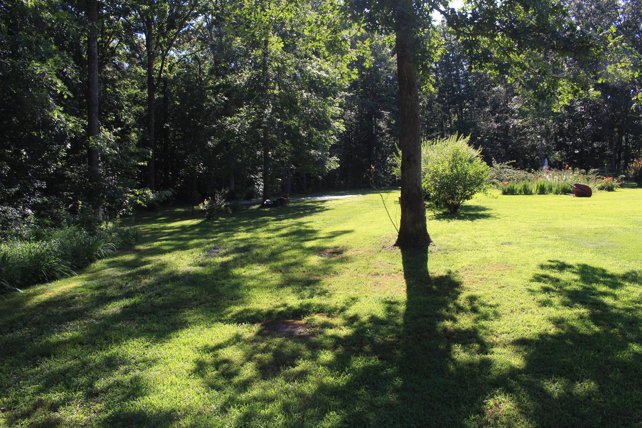 536 Strawberry Ridge Manchester, TN 37355 - Photo 28 of 30 a view of a yard with swimming pool