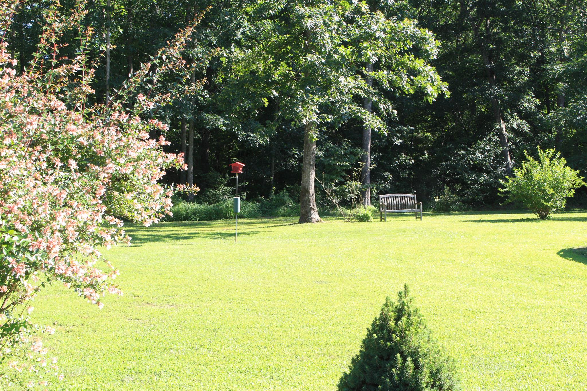 536 Strawberry Ridge Manchester, TN 37355 - Photo 29 of 30 a view of swimming pool with an outdoor space and seating area