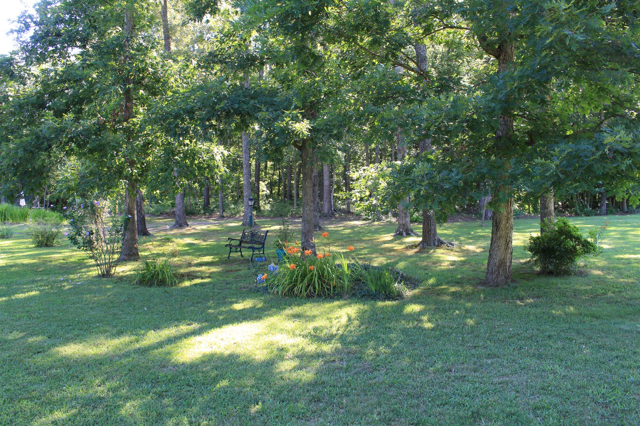 536 Strawberry Ridge Manchester, TN 37355 - Photo 30 of 30 a view of a yard with a tree