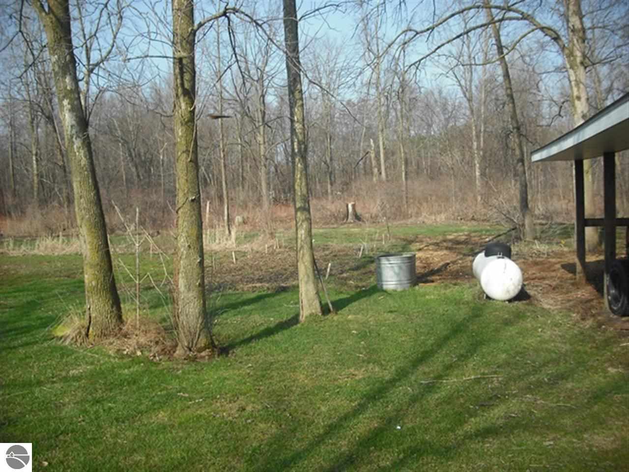 2332 South Alger Road Ithaca, MI 48847 - Photo 16 of 16 1782627-15.JPG