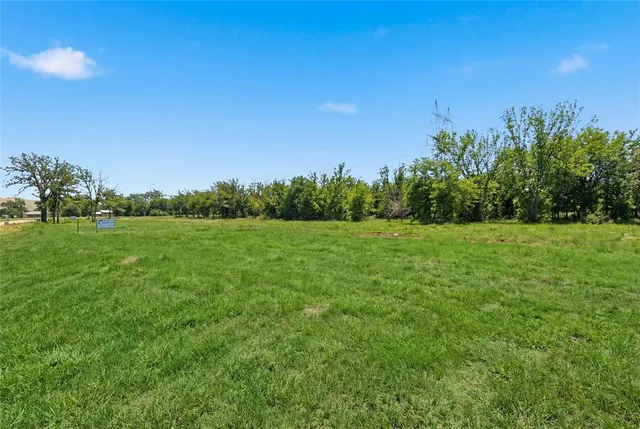 a view of a grassy field with trees in the background
