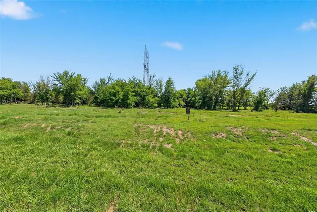 a view of a grassy field with trees in the background