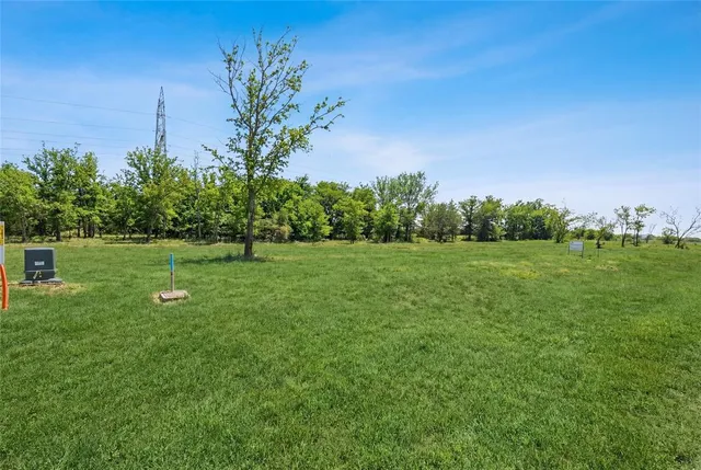 a view of a grassy field with an trees