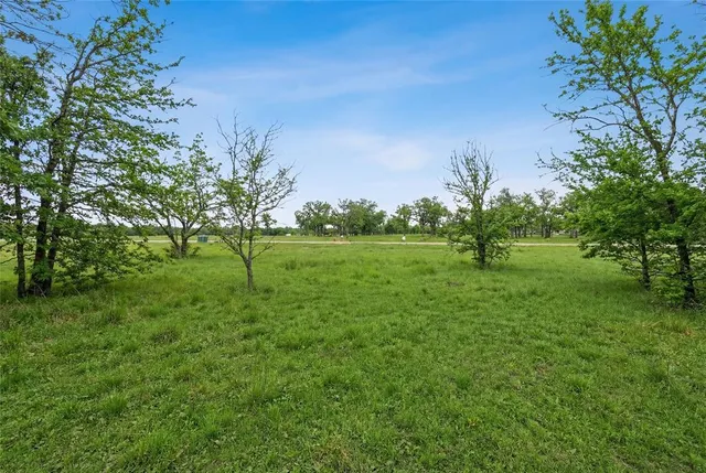 a view of grassy field with trees