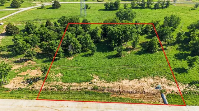 a view of a garden with a bench