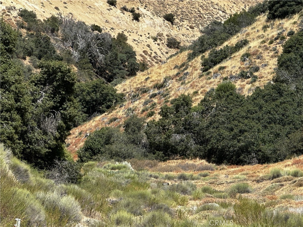 6 Chimney Canyon Road Lebec, CA 93243 - Photo 7 of 12