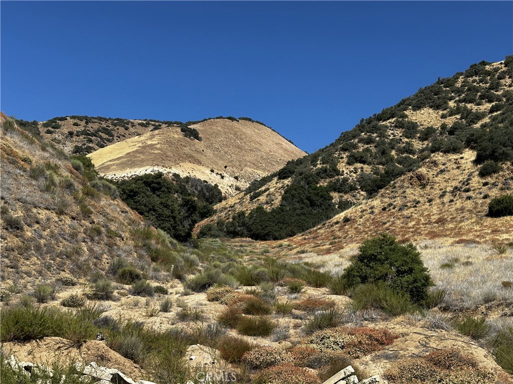 6 Chimney Canyon Road Lebec, CA 93243 - Photo 10 of 12